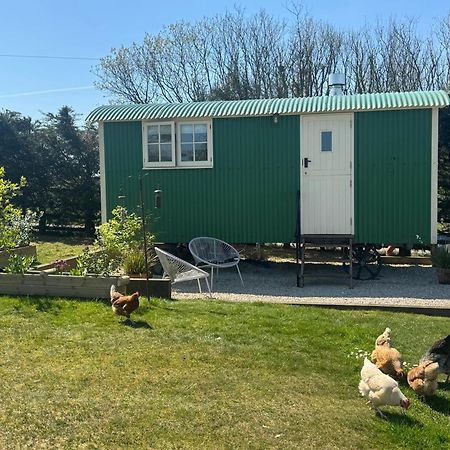Toms Hut And Robins Rest Shepherd Huts Near Wadebridge Exterior foto